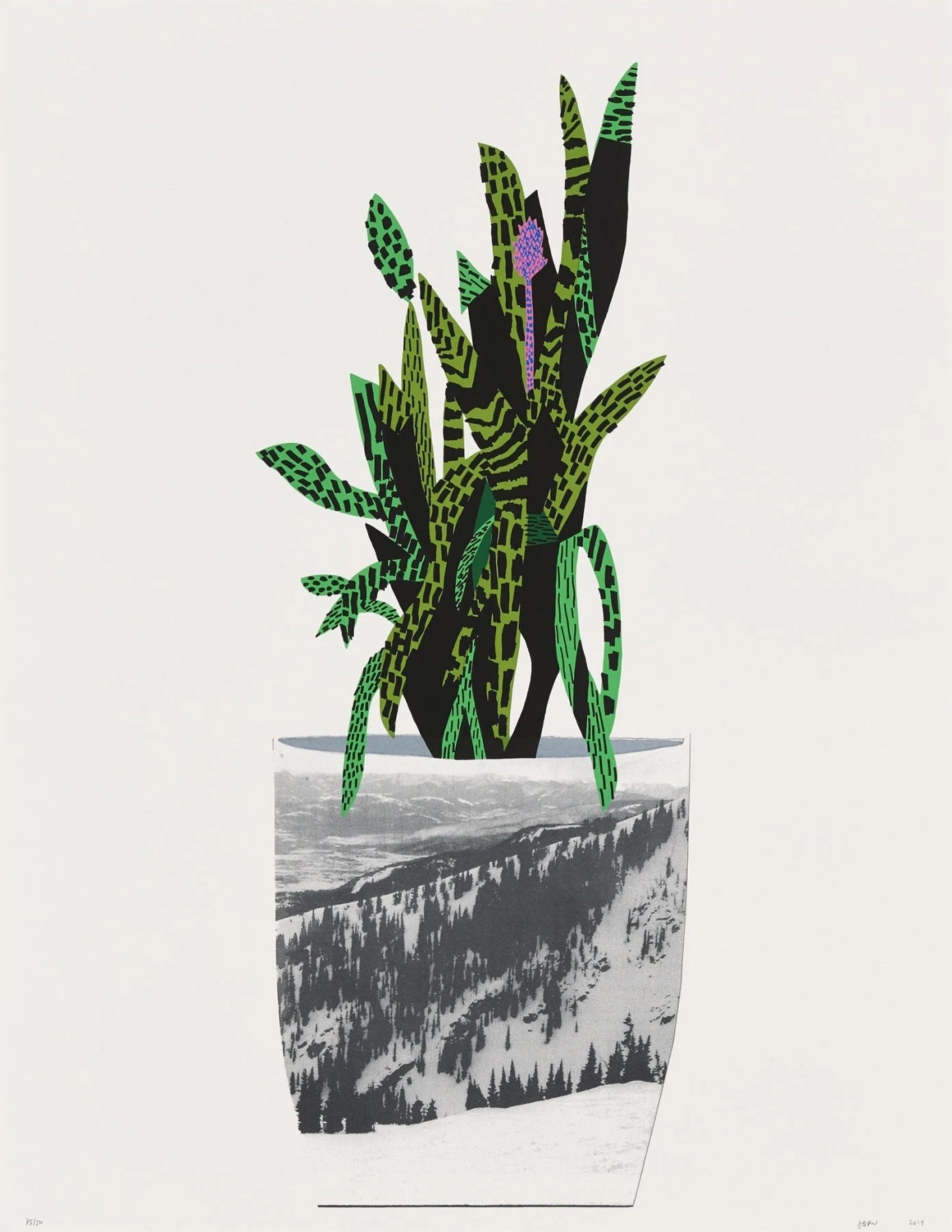 Jonas Wood