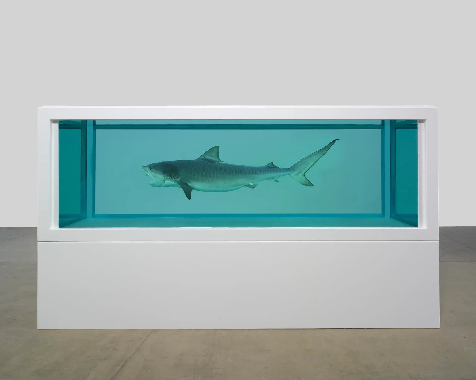 Damien Hirst