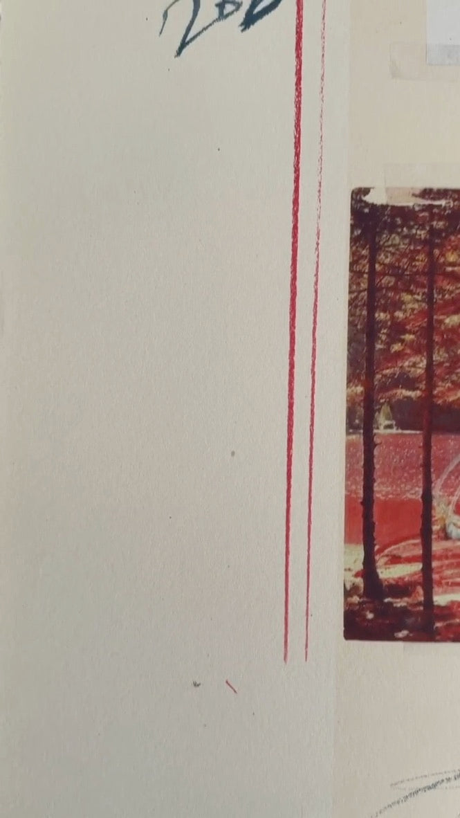 Plate V, from Natural History Part I: Mushrooms, 1974 by Cy Twombly