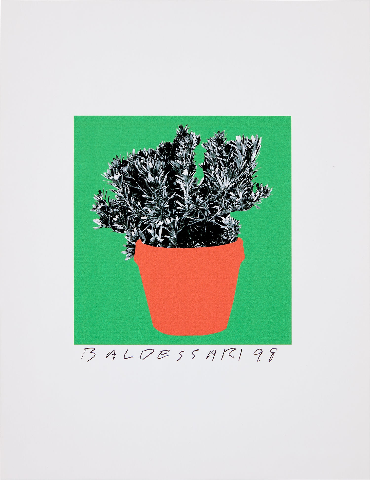8 Plants x 6 = 48: one plate (H. 96), 1998 (Unique) by John Baldessari