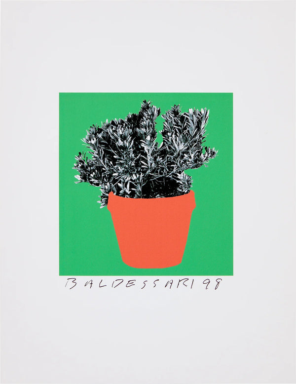 8 Plants x 6 = 48: one plate (H. 96), 1998 (Unique) by John Baldessari