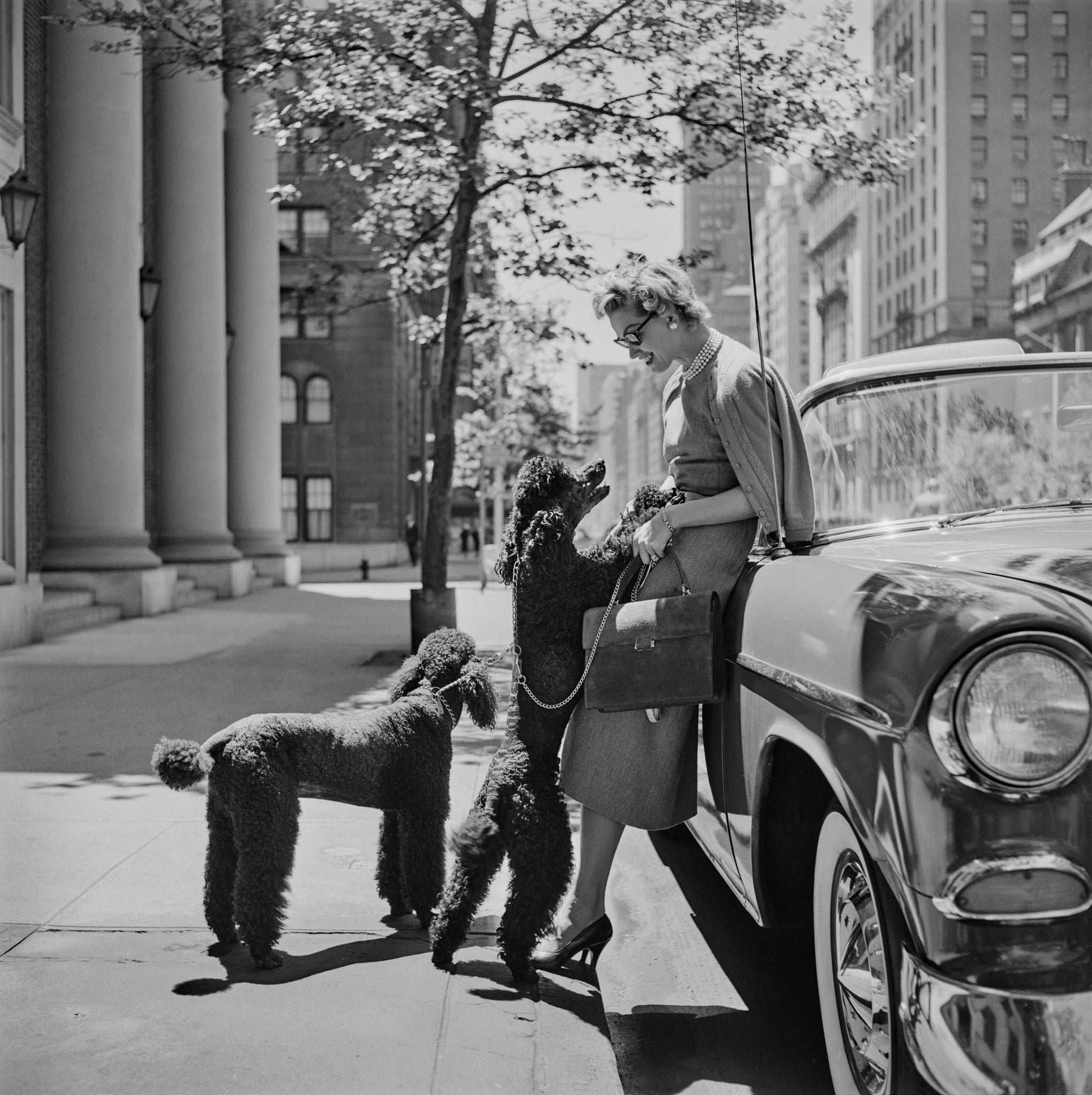 Inga Lindgren And Poodles, 1956 by Slim Aarons