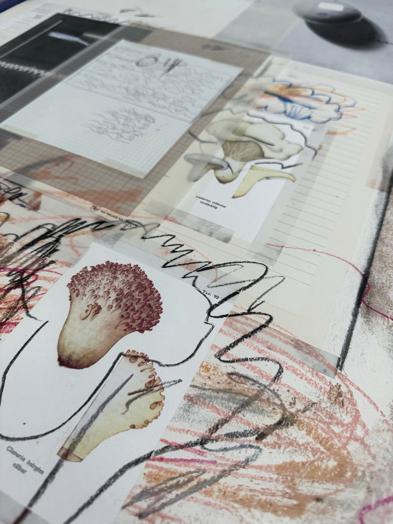 Plate VIII, from Natural History Part I: Mushrooms, 1974 by Cy Twombly