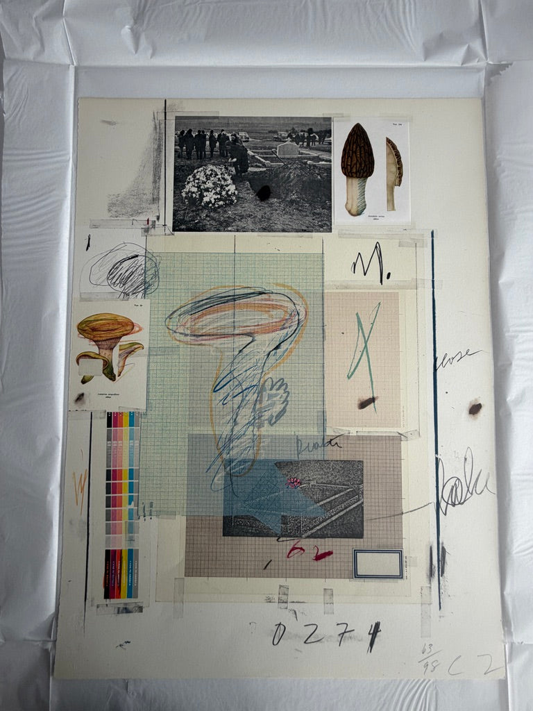Plate VII, from Natural History Part I: Mushrooms, 1974 by Cy Twombly