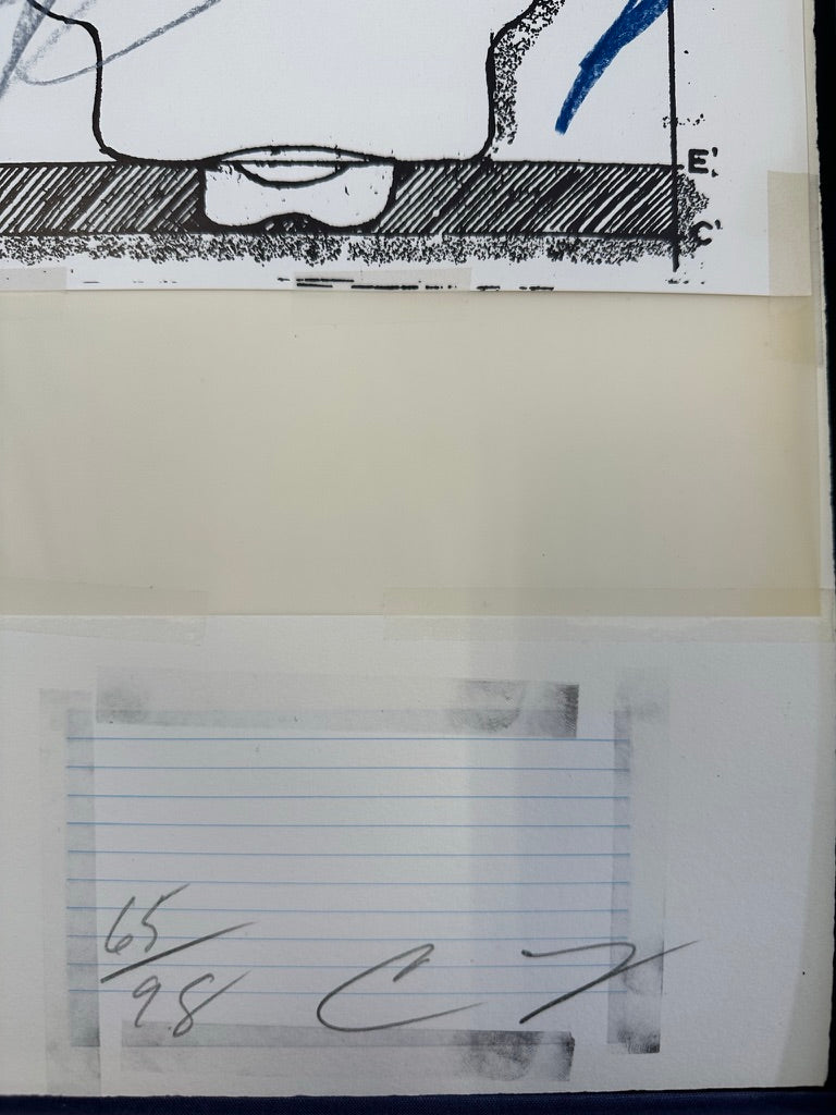 Plate II, from Natural History Part I: Mushrooms, 1974 by Cy Twombly