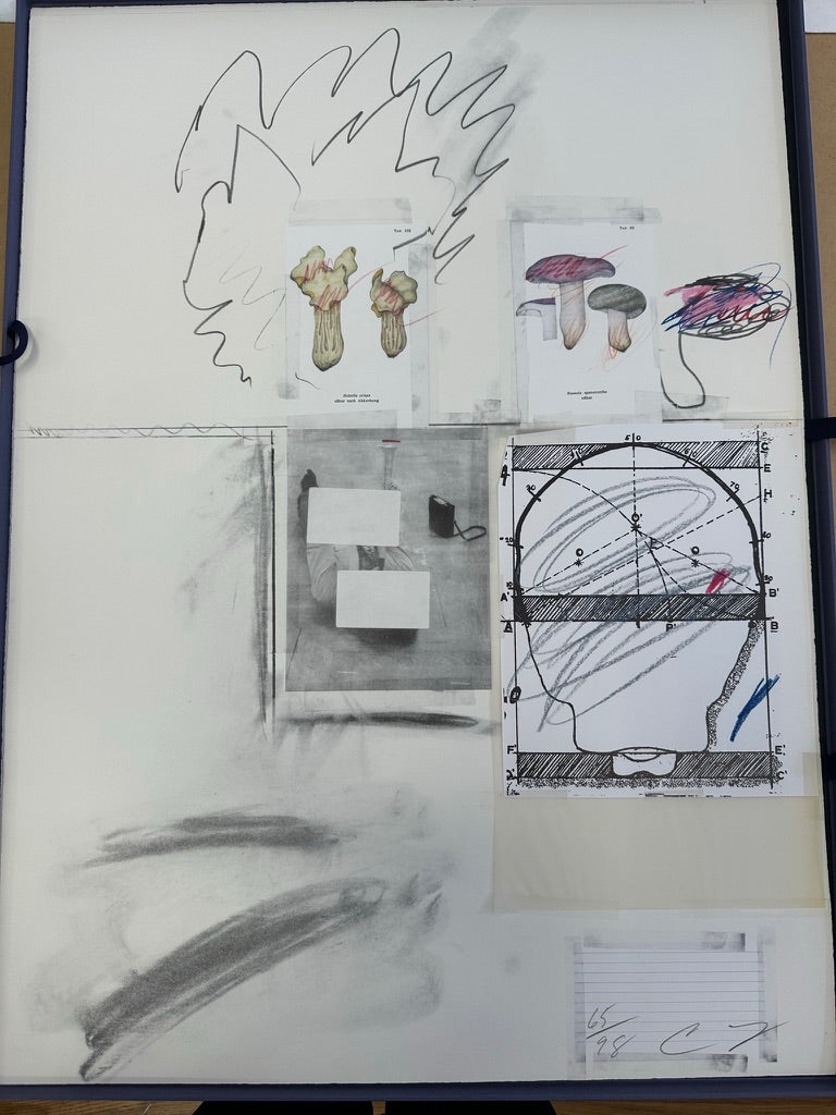 Plate II, from Natural History Part I: Mushrooms, 1974 by Cy Twombly