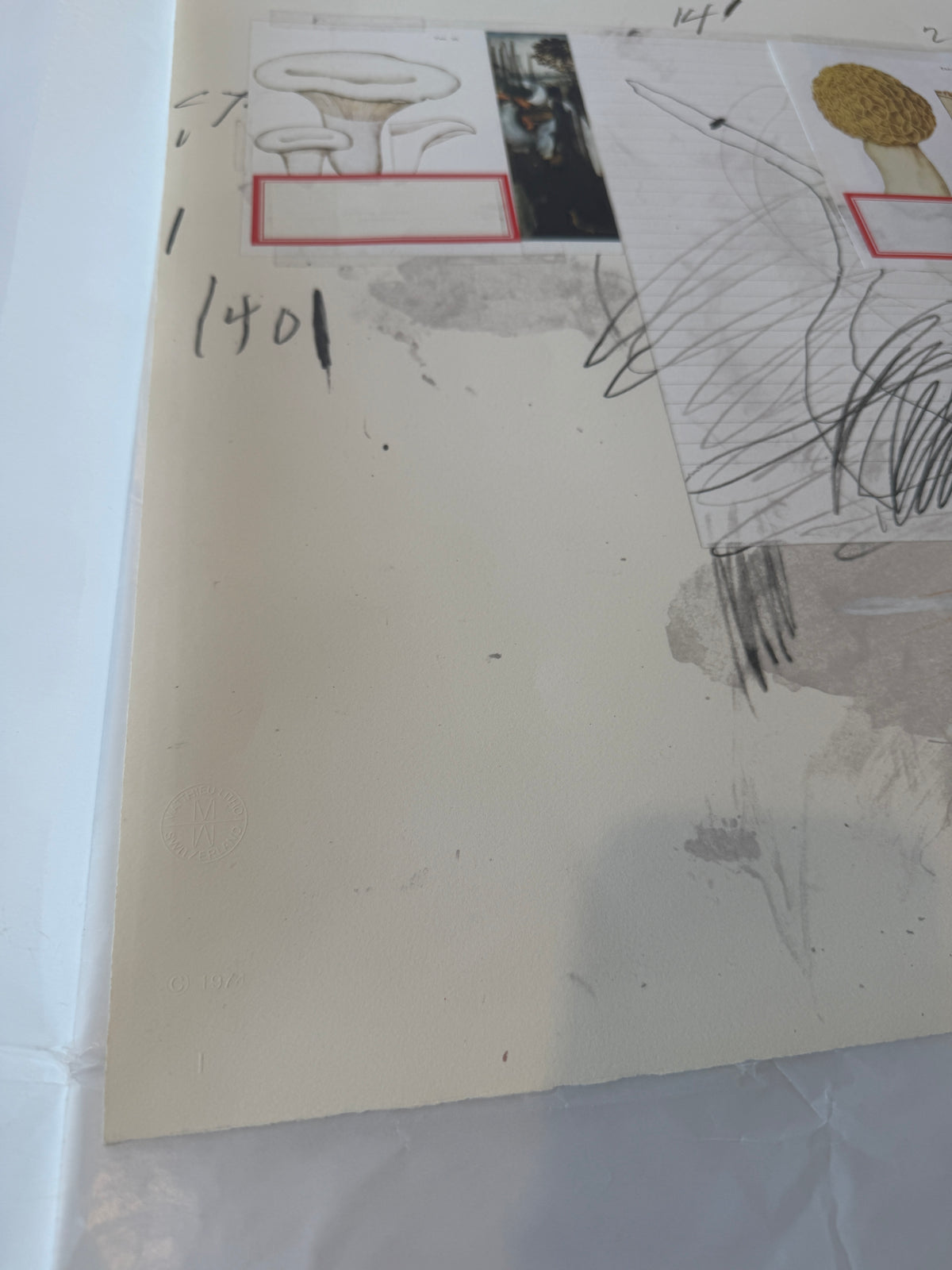 Plate I, from Natural History Part I: Mushrooms, 1974 by Cy Twombly