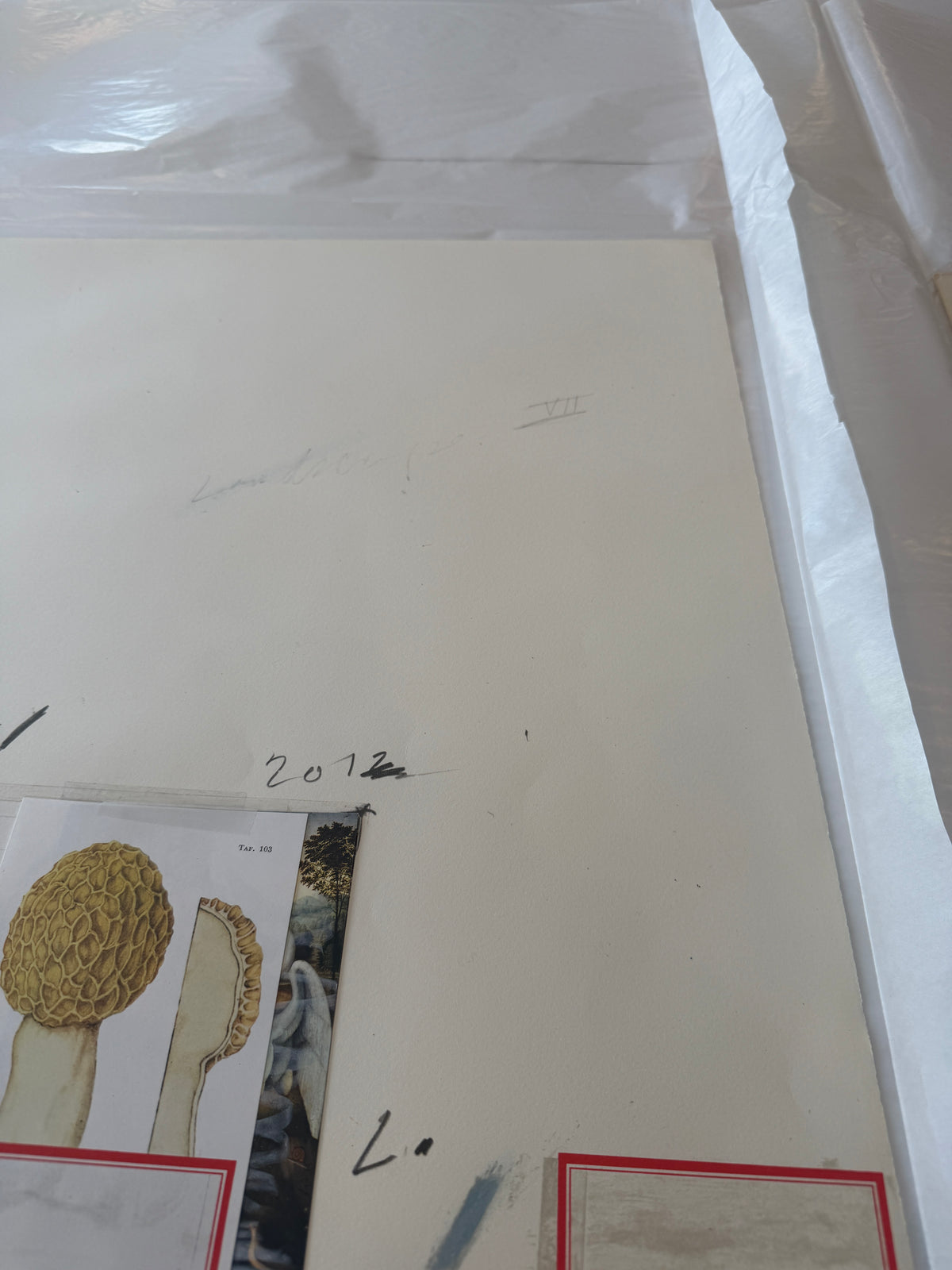 Plate I, from Natural History Part I: Mushrooms, 1974 by Cy Twombly