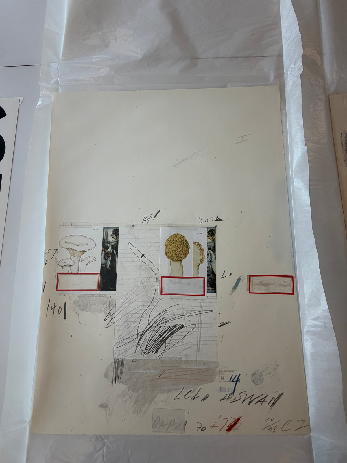 Plate I, from Natural History Part I: Mushrooms, 1974 by Cy Twombly
