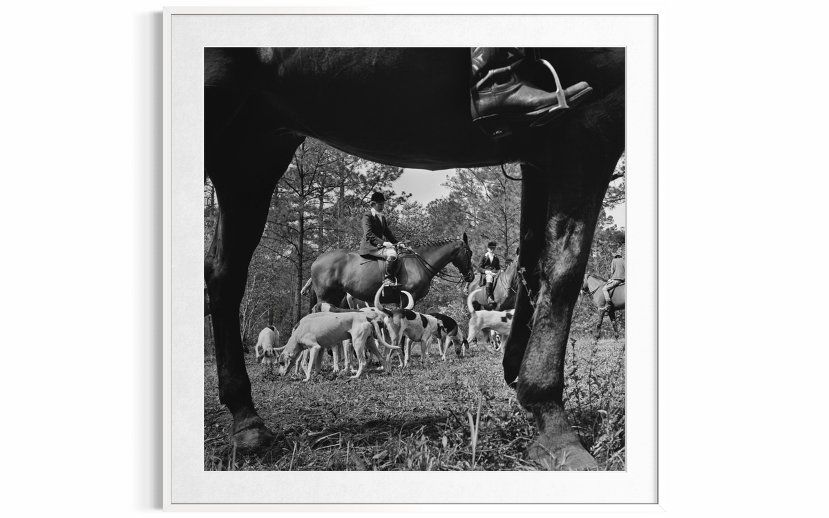 Fox Hunt (Palm Beach), 1955 by Slim Aarons