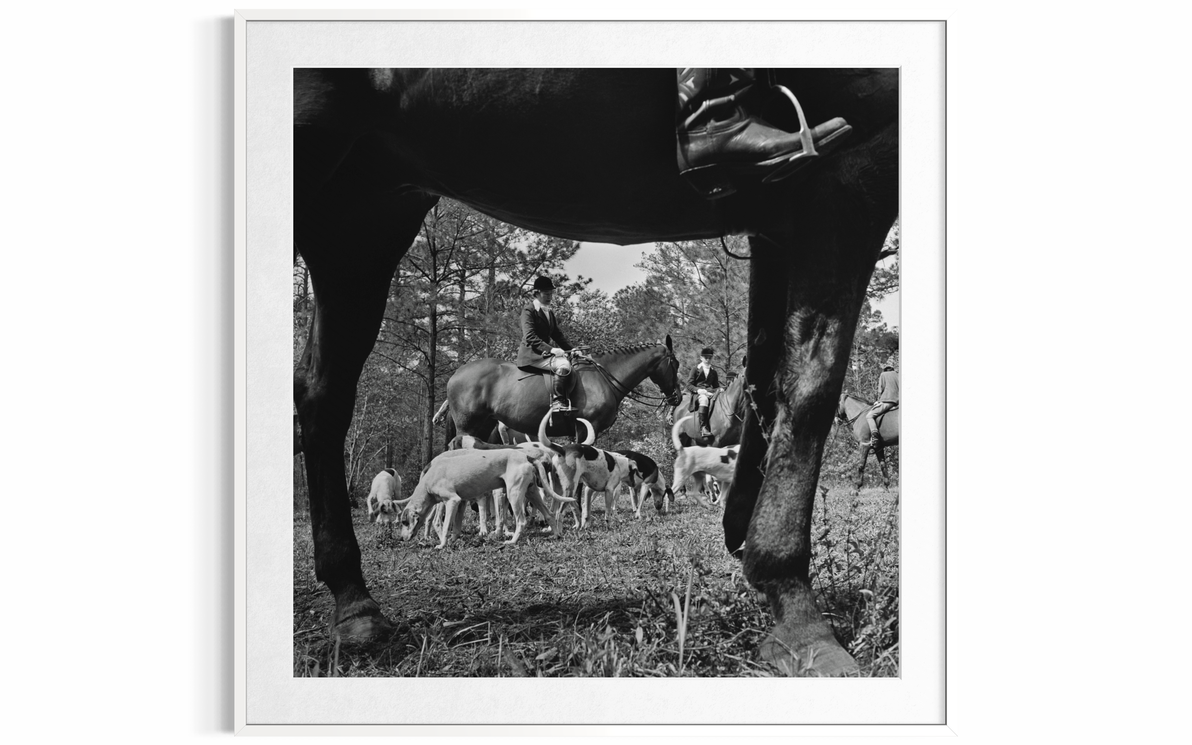 Fox Hunt (Palm Beach), 1955 by Slim Aarons