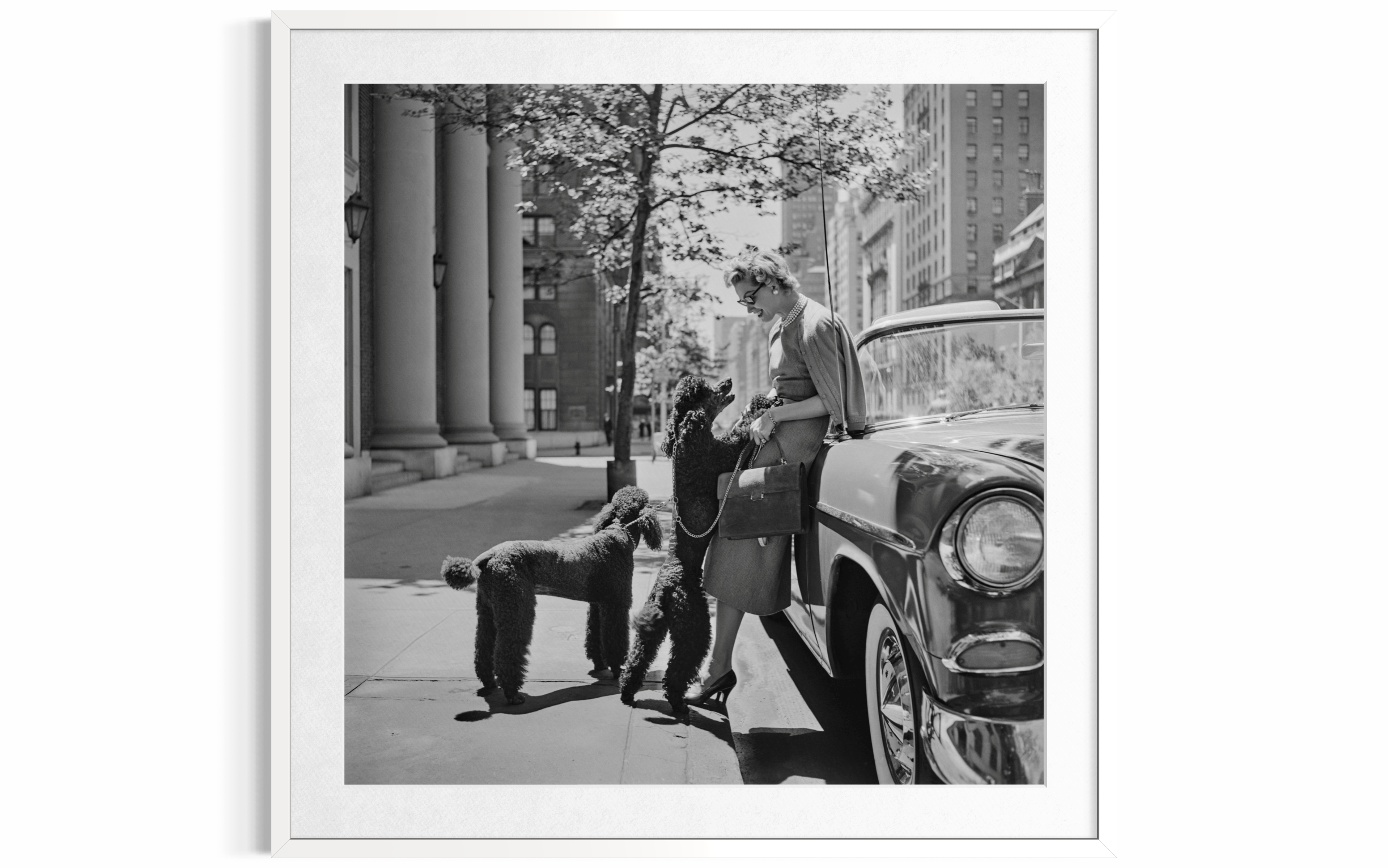 Inga Lindgren And Poodles, 1956 by Slim Aarons
