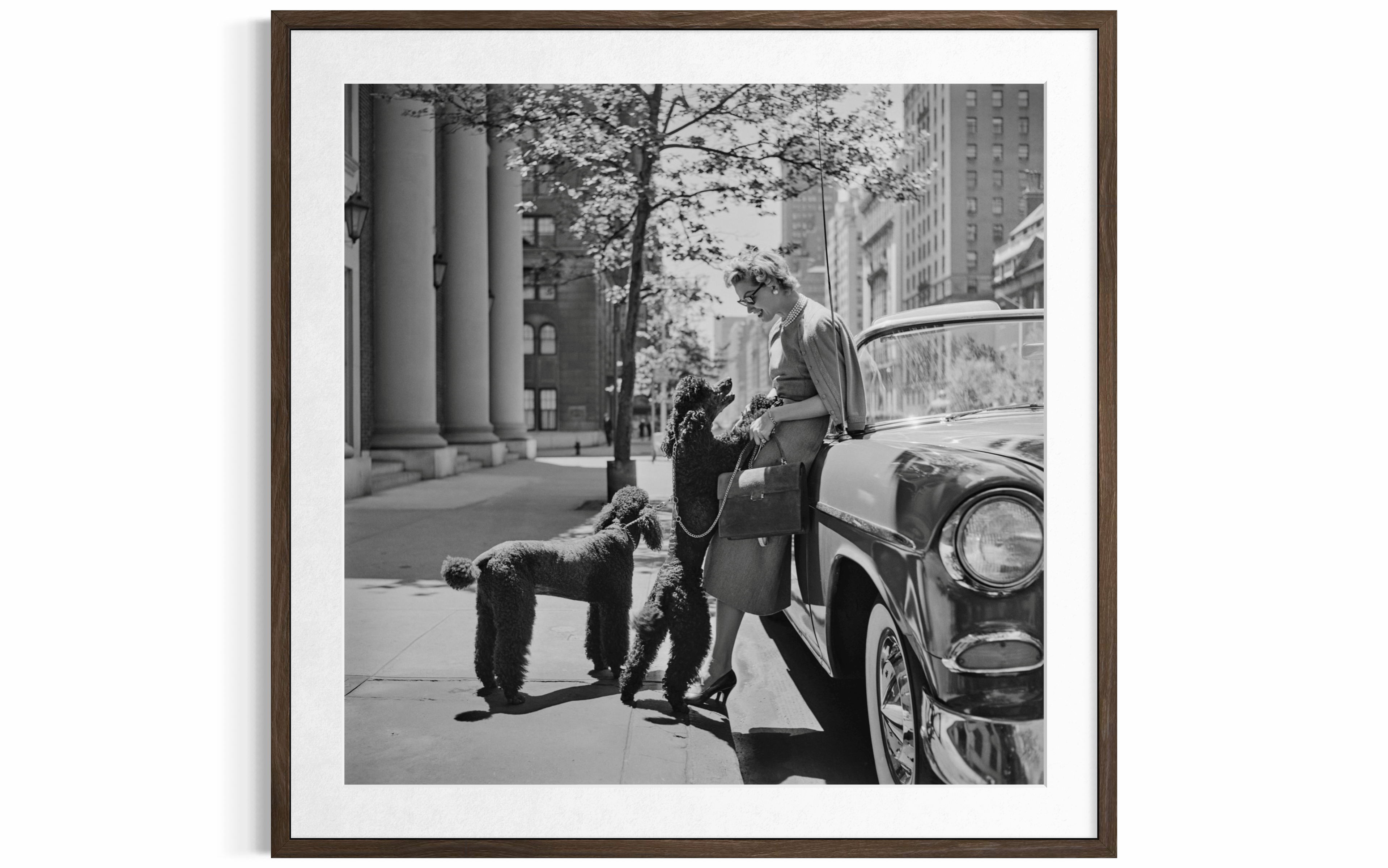Inga Lindgren And Poodles, 1956 by Slim Aarons