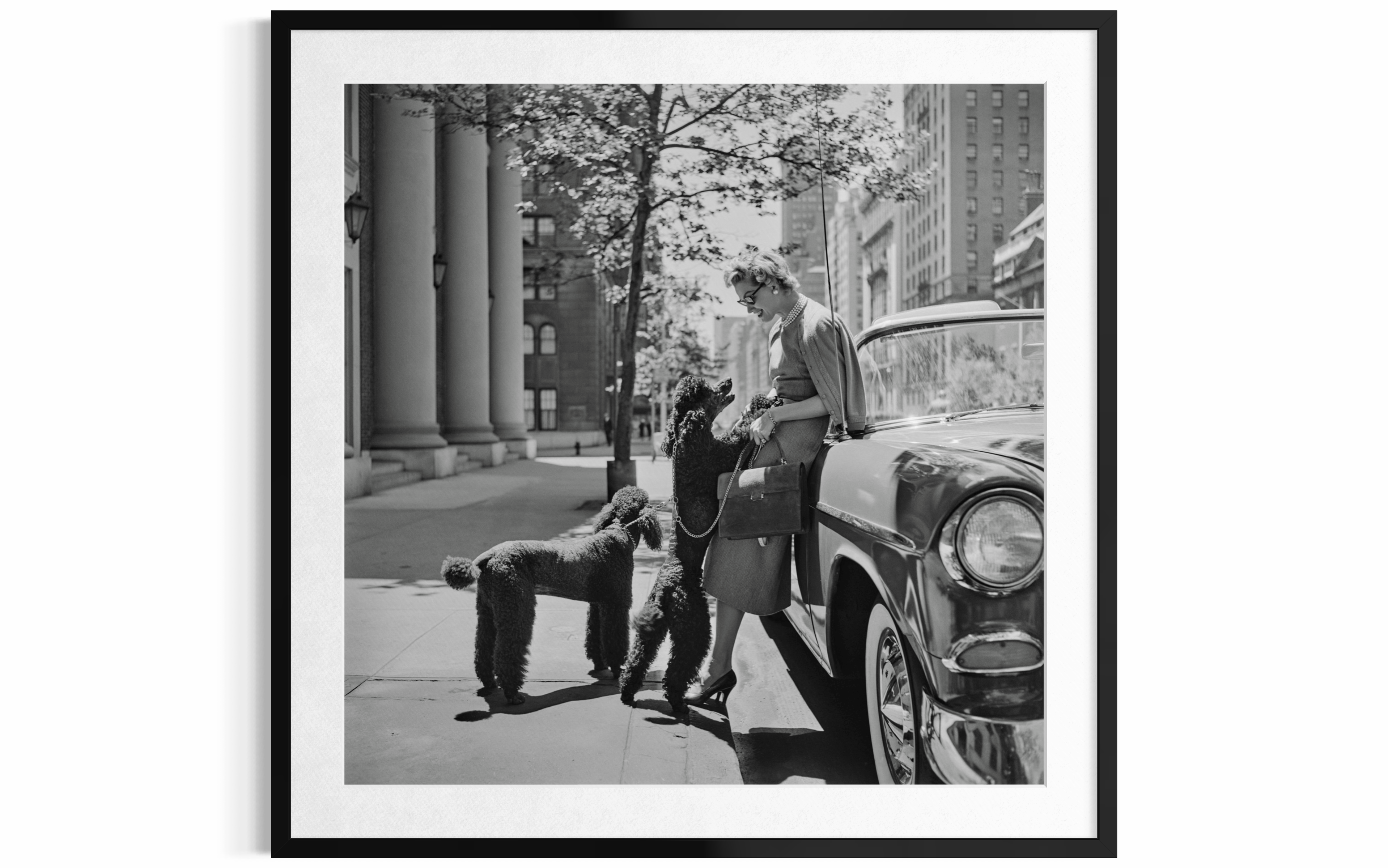Inga Lindgren And Poodles, 1956 by Slim Aarons