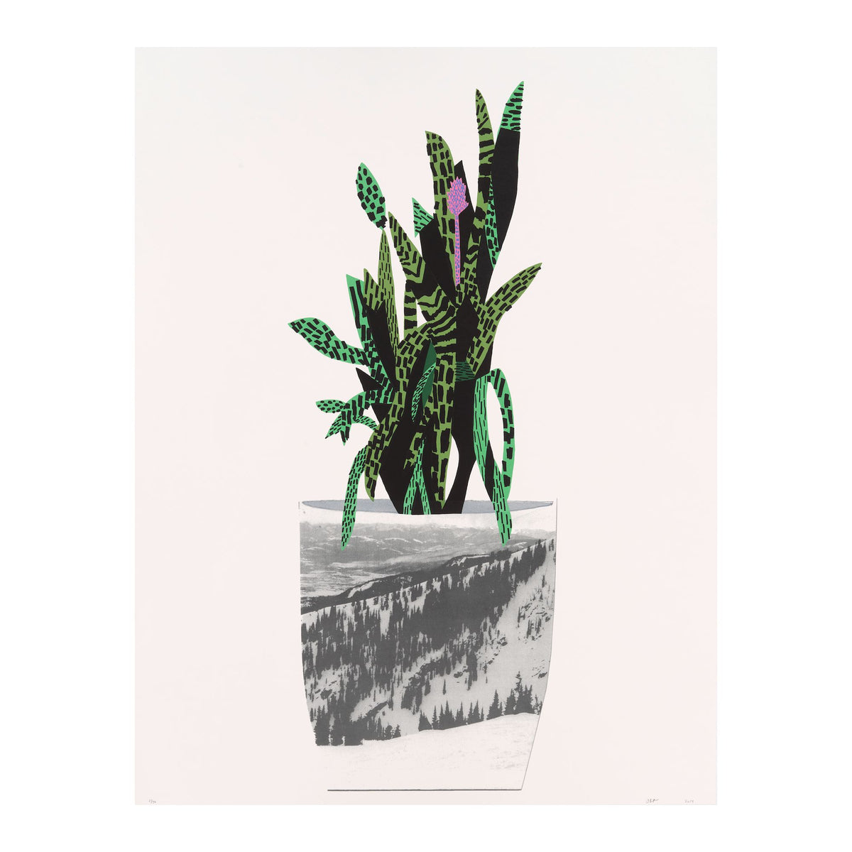 Untitled (Snake Plant), 2014 by Jonas Wood