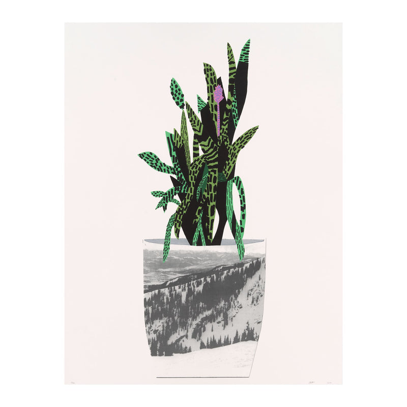 Untitled (Snake Plant), 2014 by Jonas Wood
