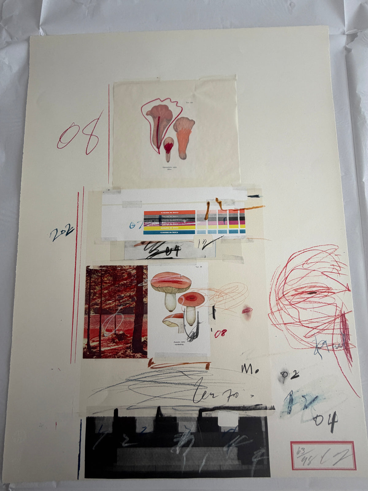 Plate V, from Natural History Part I: Mushrooms, 1974 by Cy Twombly