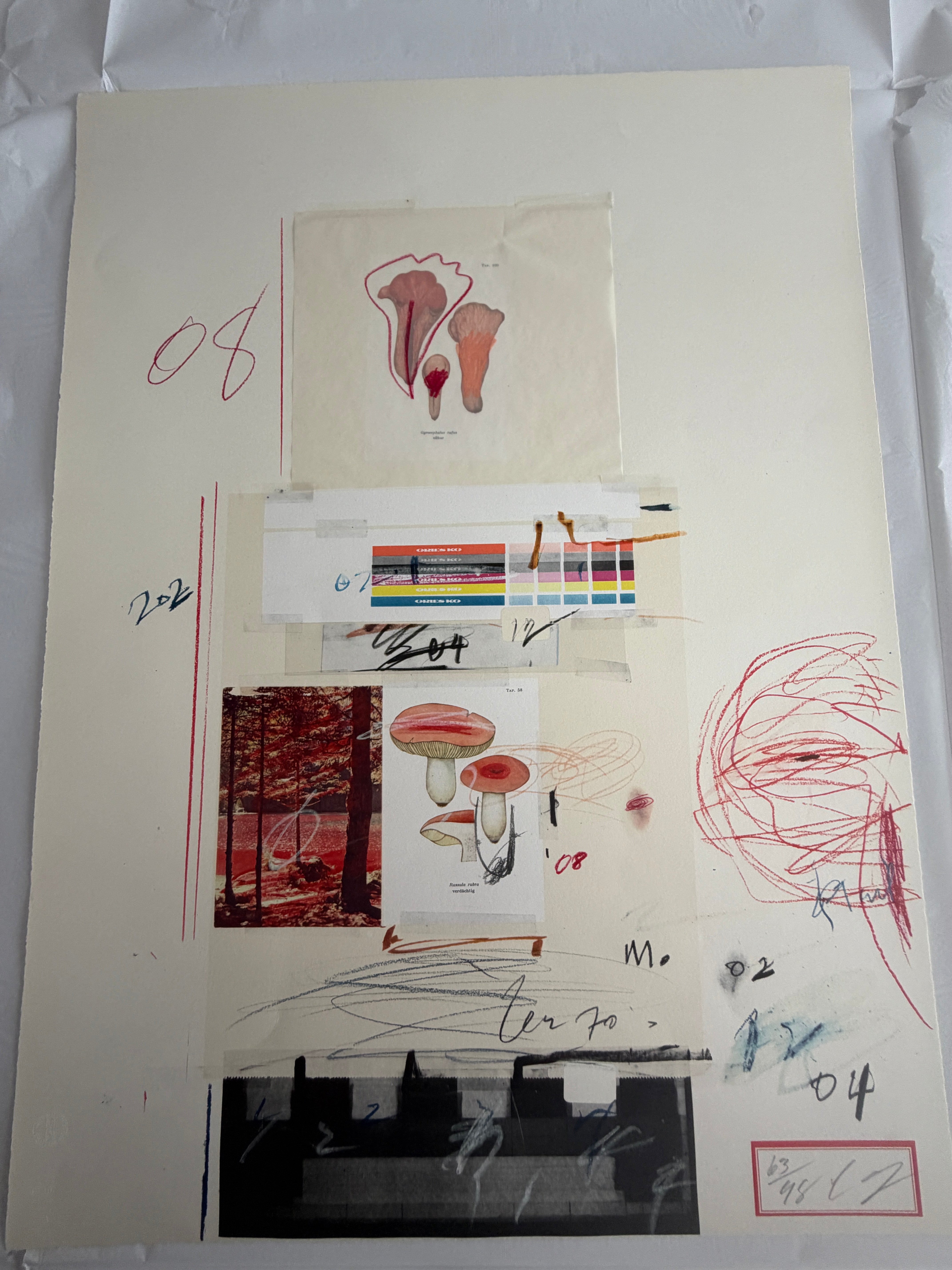 Plate V, from Natural History Part I: Mushrooms, 1974 by Cy Twombly