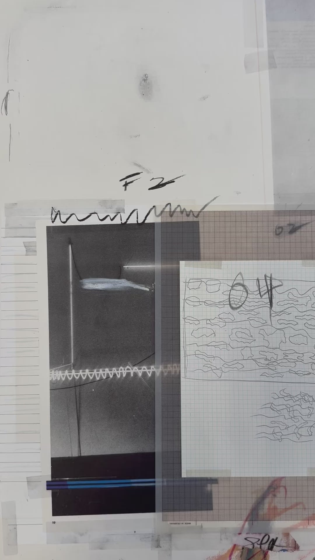 Plate VIII, from Natural History Part I: Mushrooms, 1974 by Cy Twombly