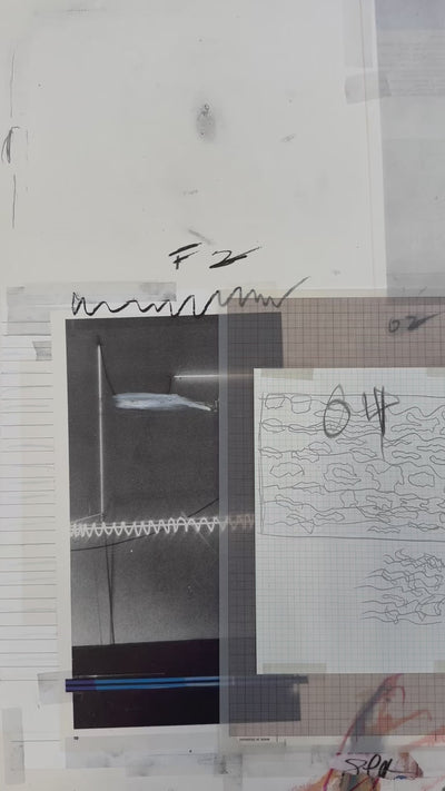 Plate VIII, from Natural History Part I: Mushrooms, 1974 by Cy Twombly