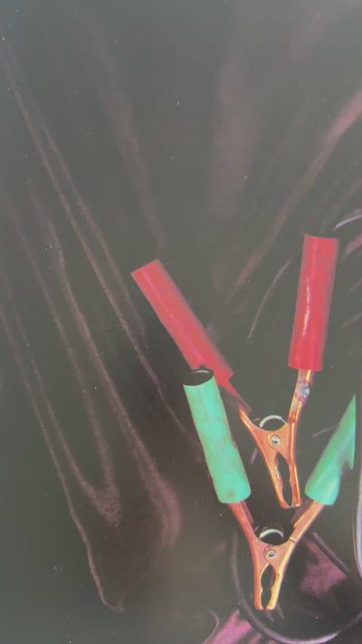 Tropical Fish Series, 1974-75 by Ed Ruscha