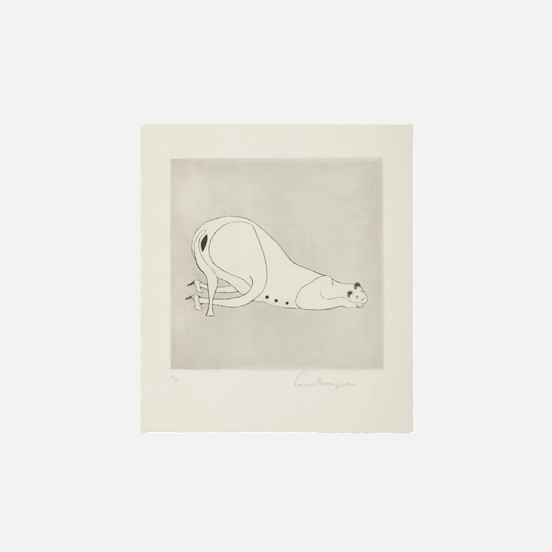 Metamorfosis (MoMA 490b), 1999 by  Louise Bourgeois