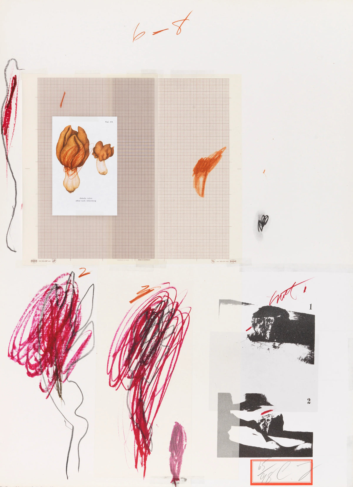 Plate IX, from Natural History Part I: Mushrooms, 1974 by Cy Twombly