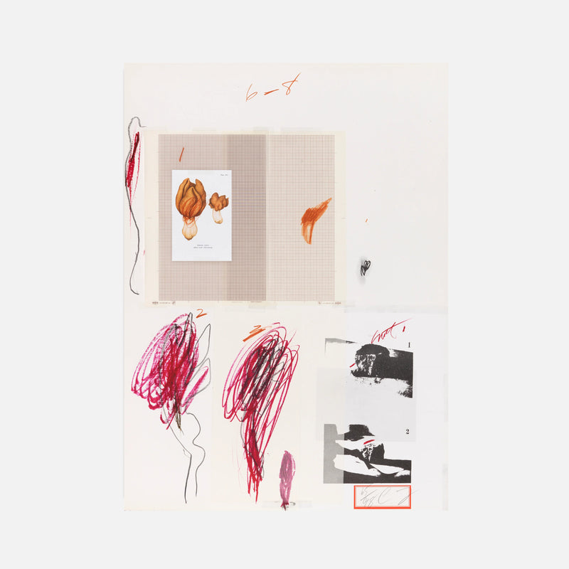 Plate IX, from Natural History Part I: Mushrooms, 1974 by Cy Twombly