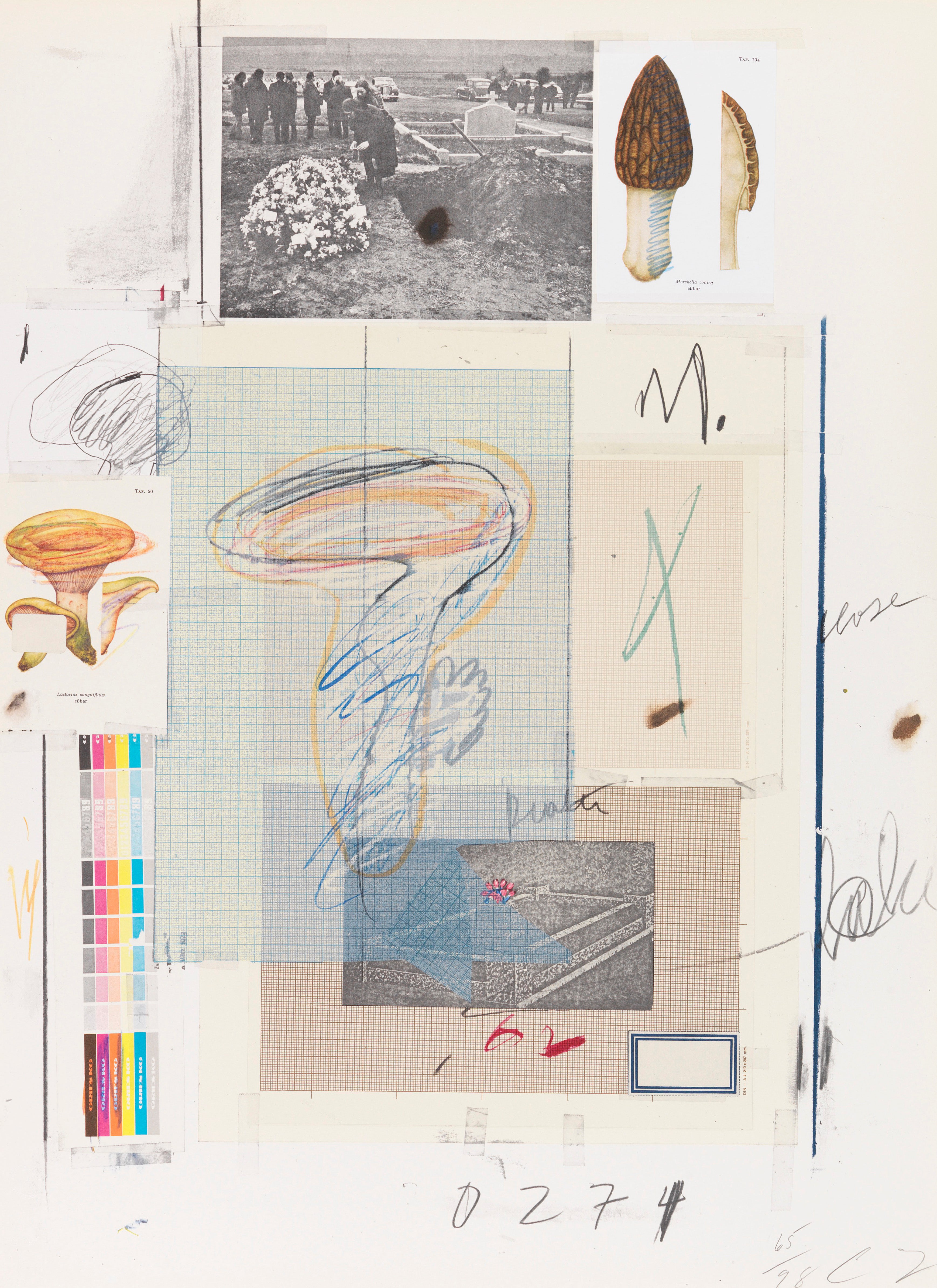 Plate VIII, from Natural History Part I: Mushrooms, 1974 by Cy Twombly