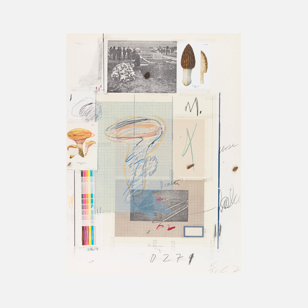 Plate VII, from Natural History Part I: Mushrooms, 1974 by Cy Twombly