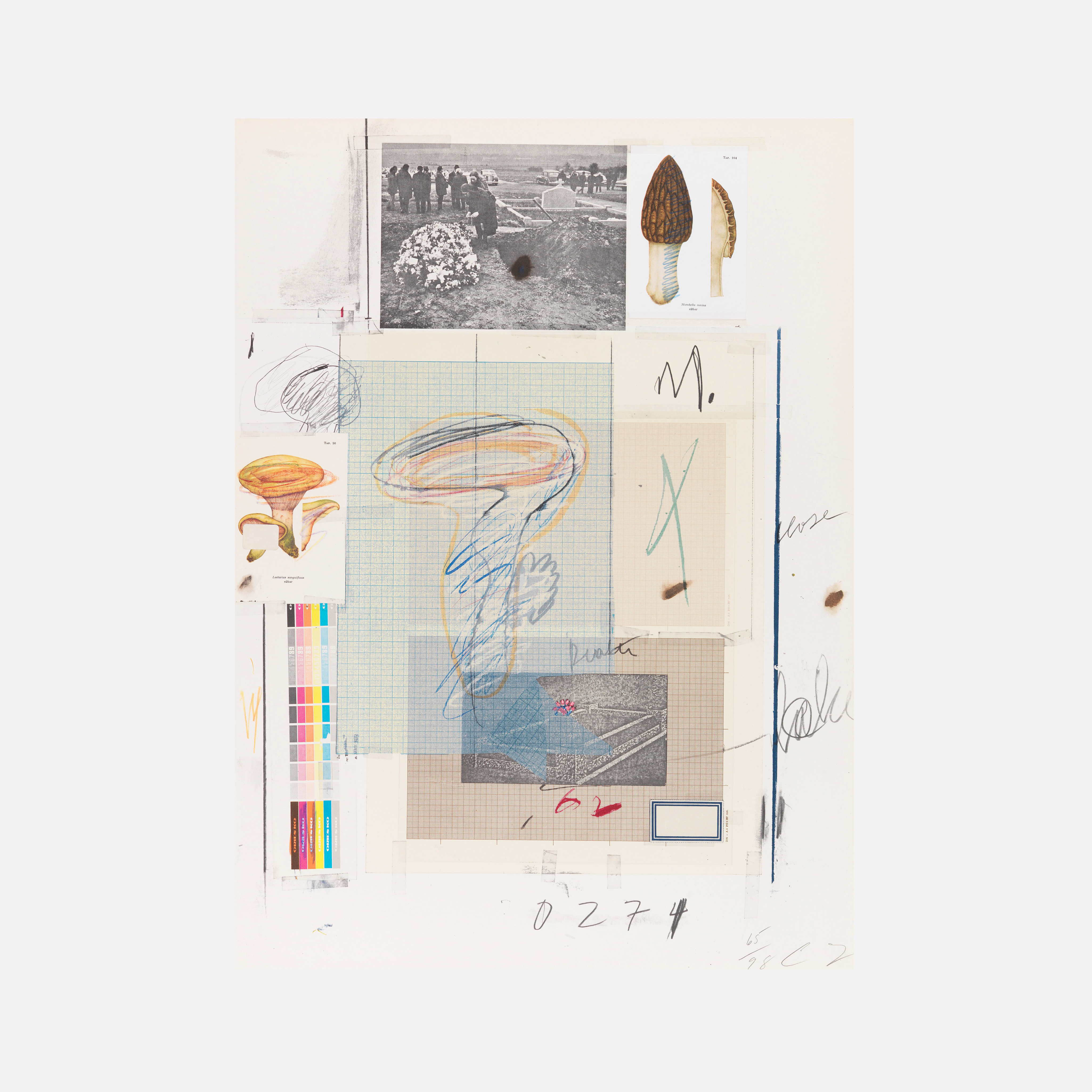 Plate VIII, from Natural History Part I: Mushrooms, 1974 by Cy Twombly