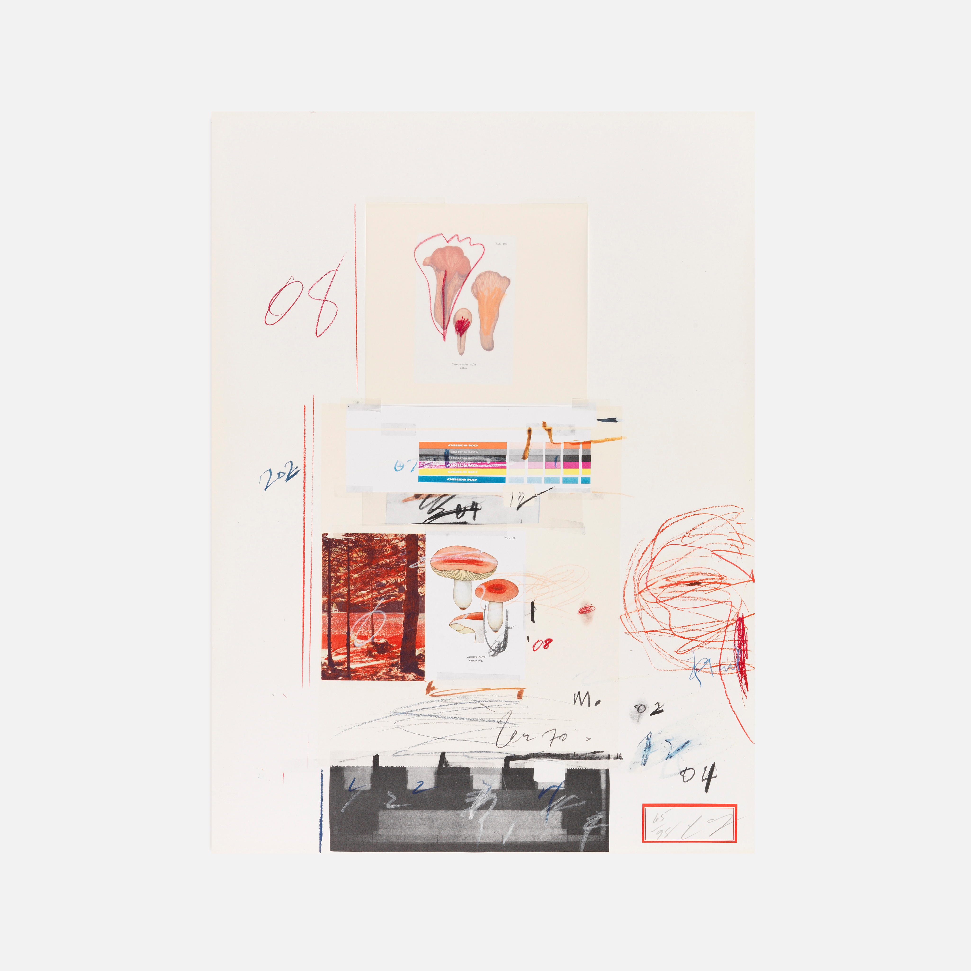 Plate V, from Natural History Part I: Mushrooms, 1974 by Cy Twombly