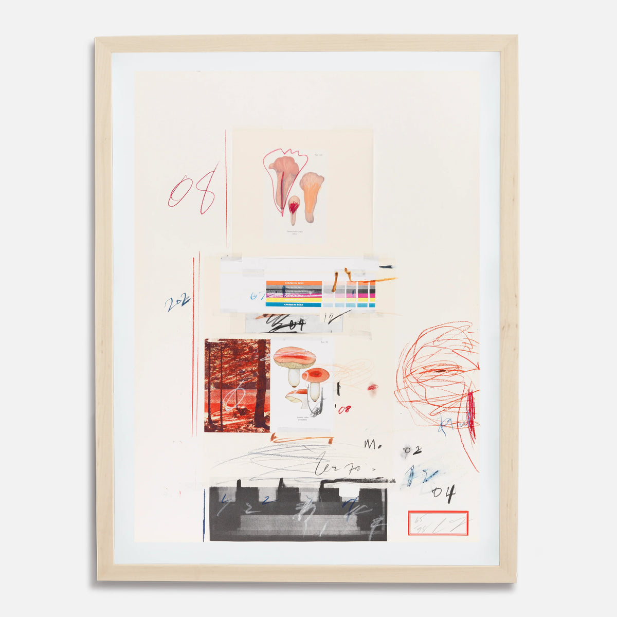 Plate V, from Natural History Part I: Mushrooms, 1974 by Cy Twombly