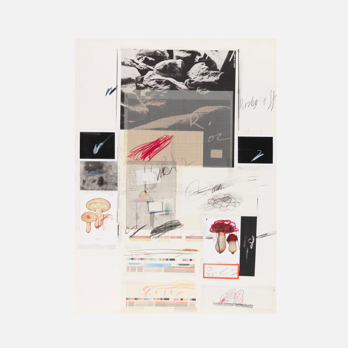 Plate X, from Natural History Part I: Mushrooms, 1974 by Cy Twombly