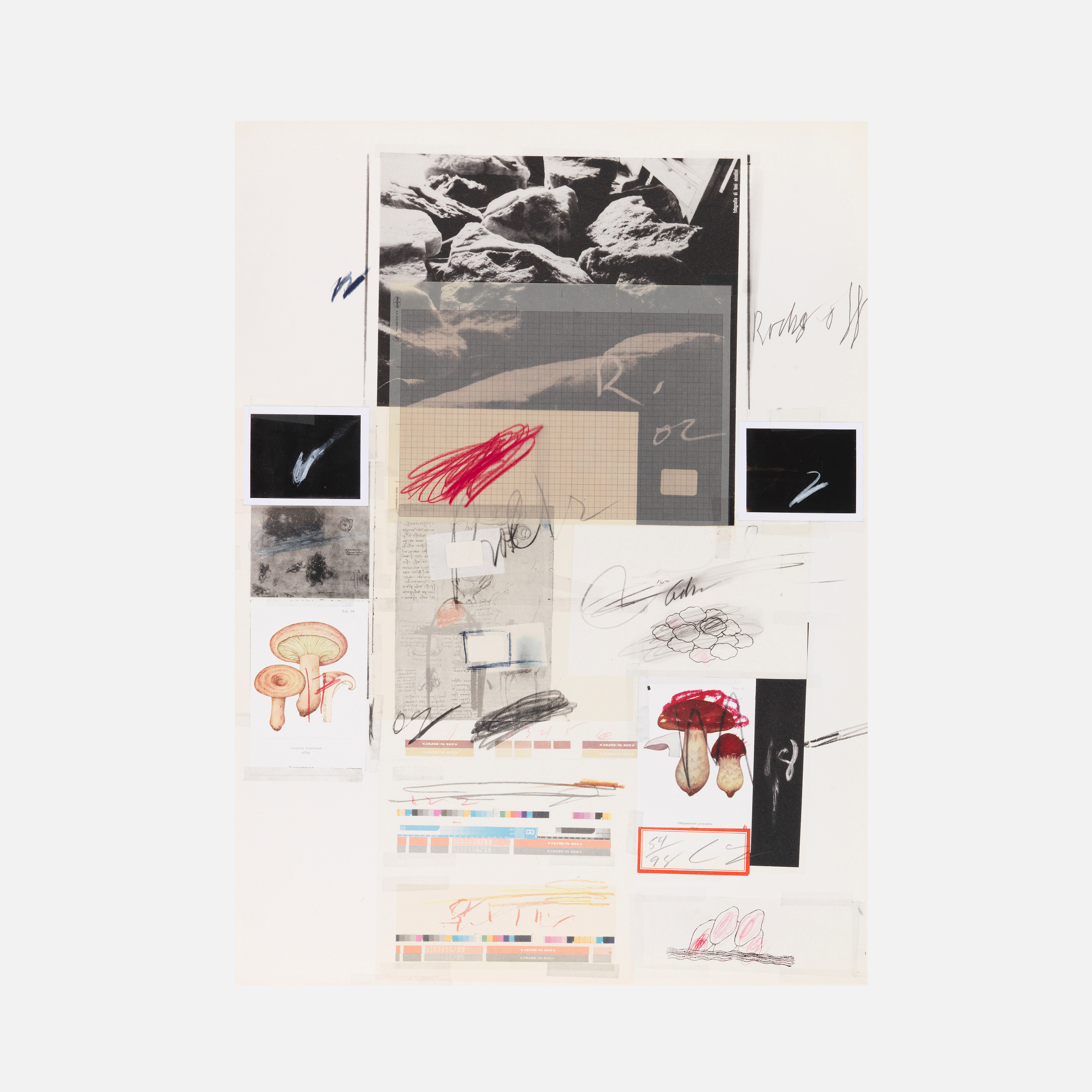 Plate X, from Natural History Part I: Mushrooms, 1974 by Cy Twombly