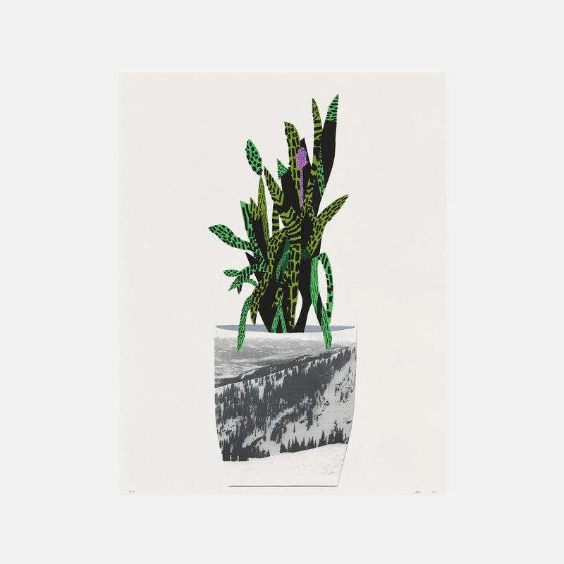 Untitled (Green), 2014 by  Jonas Wood